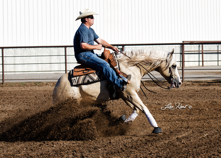 sliding stop reining horse photography